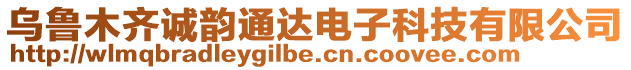 烏魯木齊誠韻通達電子科技有限公司