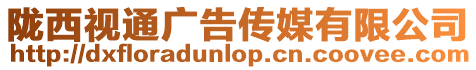 隴西視通廣告?zhèn)髅接邢薰? style=