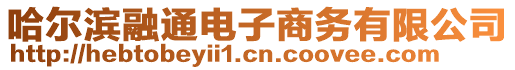 哈爾濱融通電子商務(wù)有限公司