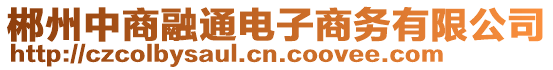 郴州中商融通電子商務(wù)有限公司