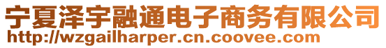 寧夏澤宇融通電子商務(wù)有限公司