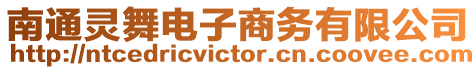 南通靈舞電子商務(wù)有限公司