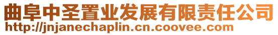 曲阜中圣置業(yè)發(fā)展有限責(zé)任公司