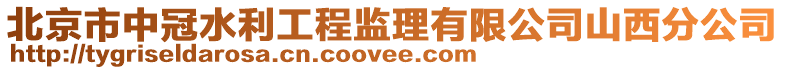 北京市中冠水利工程監(jiān)理有限公司山西分公司