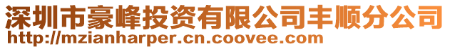深圳市豪峰投資有限公司豐順分公司