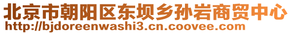 北京市朝陽區東壩鄉孫巖商貿中心