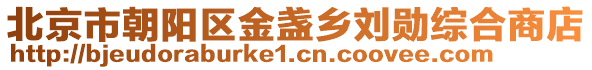北京市朝陽區(qū)金盞鄉(xiāng)劉勛綜合商店