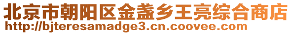 北京市朝陽區金盞鄉王亮綜合商店