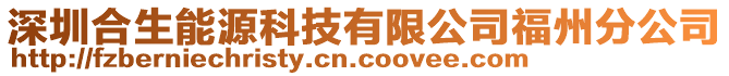 深圳合生能源科技有限公司福州分公司