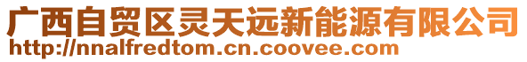 廣西自貿(mào)區(qū)靈天遠新能源有限公司