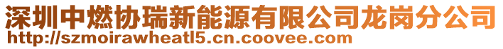 深圳中燃協(xié)瑞新能源有限公司龍崗分公司