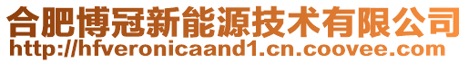 合肥博冠新能源技術(shù)有限公司