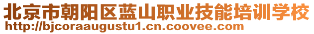 北京市朝陽區(qū)藍(lán)山職業(yè)技能培訓(xùn)學(xué)校