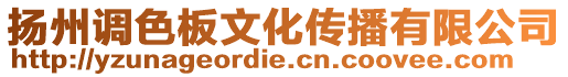 揚(yáng)州調(diào)色板文化傳播有限公司