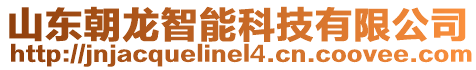 山東朝龍智能科技有限公司