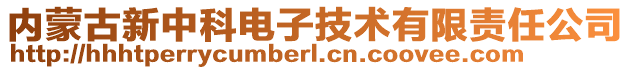 內蒙古新中科電子技術有限責任公司