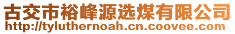 古交市裕峰源選煤有限公司