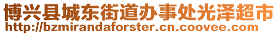 博興縣城東街道辦事處光澤超市