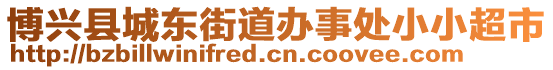 博興縣城東街道辦事處小小超市