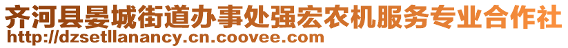 齊河縣晏城街道辦事處強(qiáng)宏農(nóng)機(jī)服務(wù)專(zhuān)業(yè)合作社