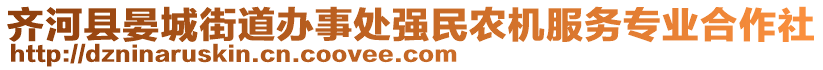 齊河縣晏城街道辦事處強民農(nóng)機服務(wù)專業(yè)合作社