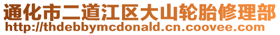 通化市二道江區(qū)大山輪胎修理部