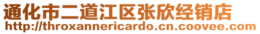 通化市二道江区张欣经销店