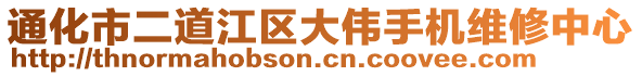 通化市二道江区大伟手机维修中心