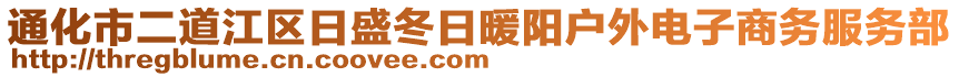 通化市二道江区日盛冬日暖阳户外电子商务服务部