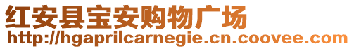 紅安縣寶安購物廣場