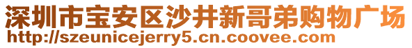 深圳市寶安區沙井新哥弟購物廣場