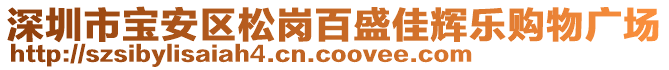 深圳市寶安區松崗百盛佳輝樂購物廣場