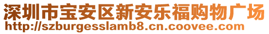 深圳市宝安区新安乐福购物广场