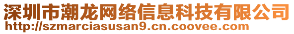 深圳市潮龍網絡信息科技有限公司