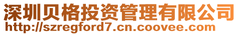 深圳貝格投資管理有限公司