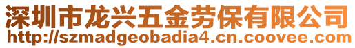 深圳市龍興五金勞保有限公司