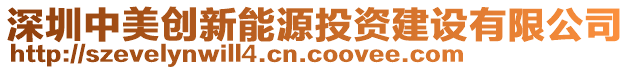 深圳中美創新能源投資建設有限公司