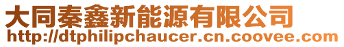大同秦鑫新能源有限公司