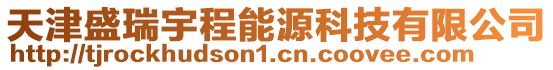 天津盛瑞宇程能源科技有限公司