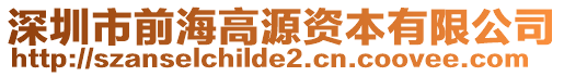 深圳市前海高源資本有限公司