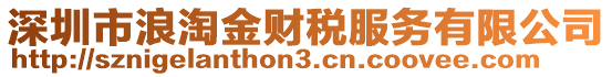 深圳市浪淘金財稅服務有限公司