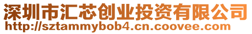 深圳市匯芯創(chuàng)業(yè)投資有限公司