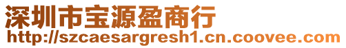 深圳市寶源盈商行