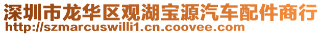 深圳市龍華區(qū)觀湖寶源汽車配件商行