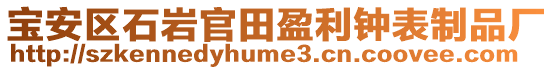 寶安區(qū)石巖官田盈利鐘表制品廠