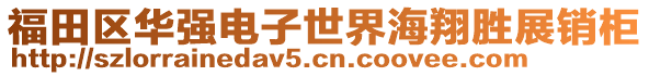 福田區(qū)華強(qiáng)電子世界海翔勝展銷(xiāo)柜