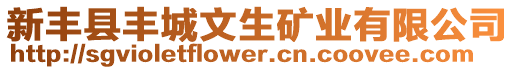 新豐縣豐城文生礦業(yè)有限公司