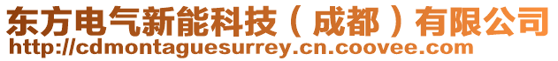 東方電氣新能科技（成都）有限公司