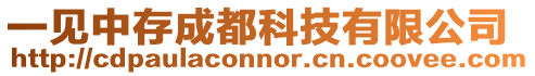 一見中存成都科技有限公司