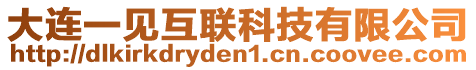 大連一見互聯(lián)科技有限公司